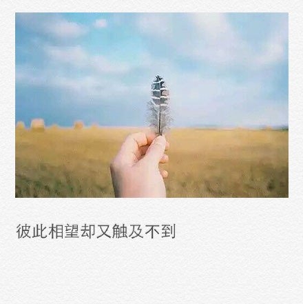 彼此相望，却又触及不到