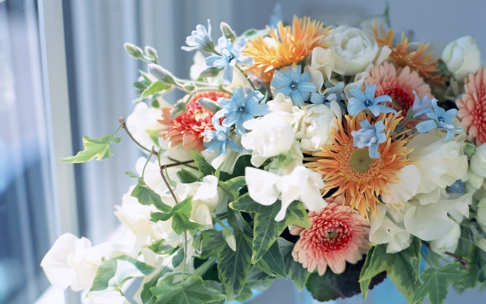 室内花 第九辑