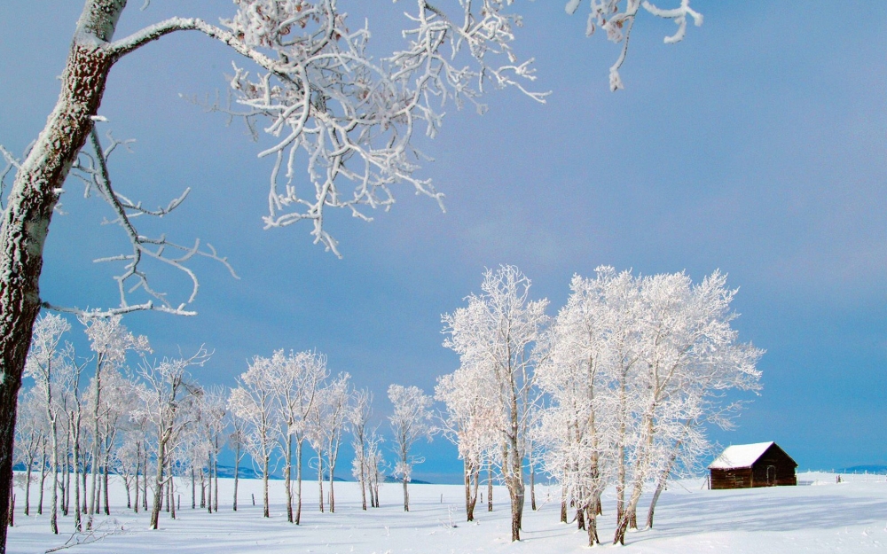 纯白雪景壁纸