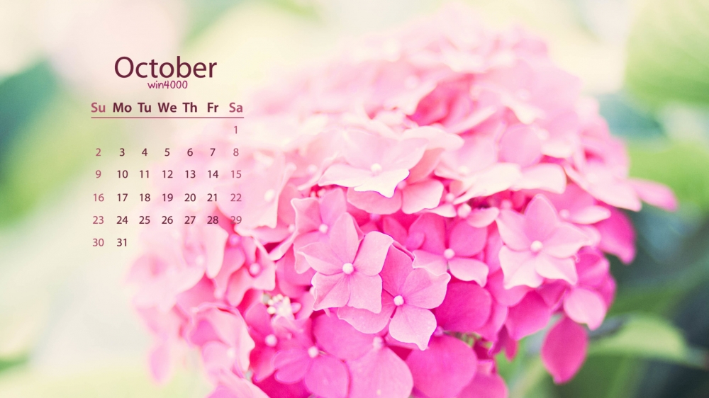 2016年10月日历粉色花朵植物电脑桌面壁纸