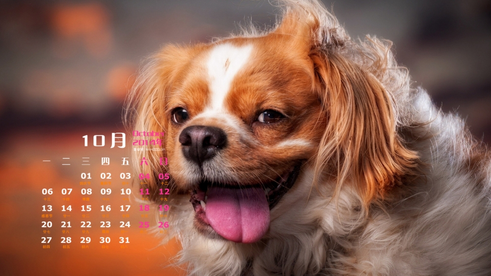 2014年10月日历壁纸可爱名犬宽屏狗狗高清图片合集