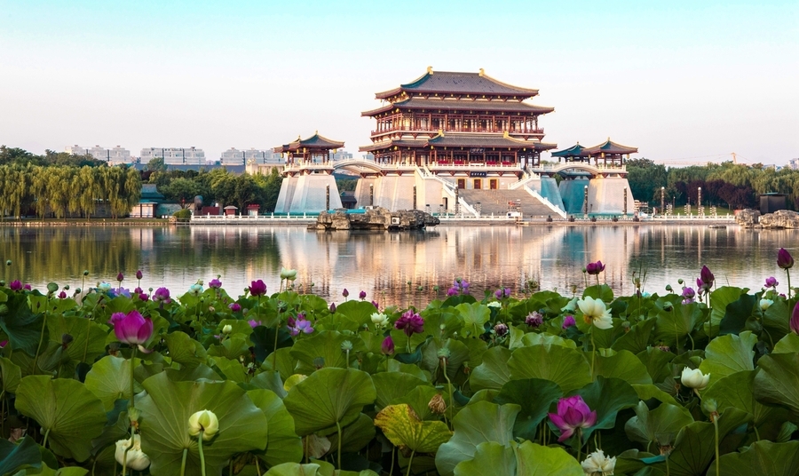 风和日丽的芙蓉园清晨图片