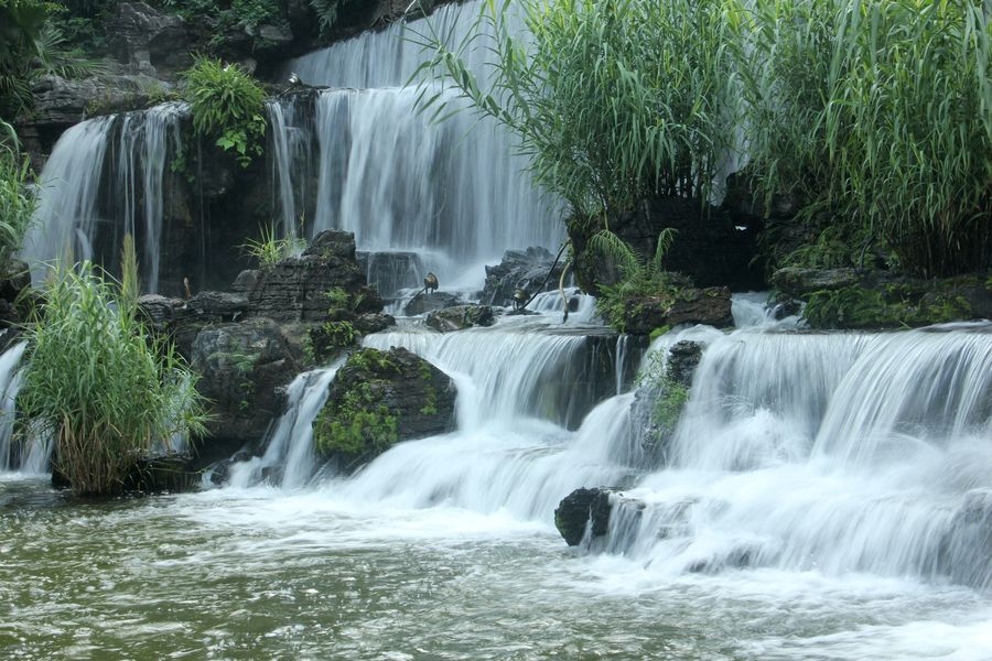 广州麓湖公园瀑布图片