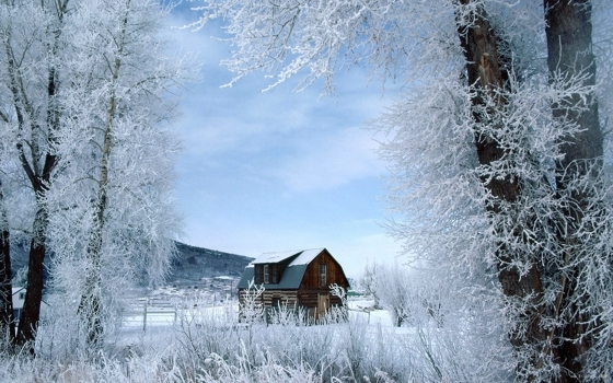 冬天森林雪景图片