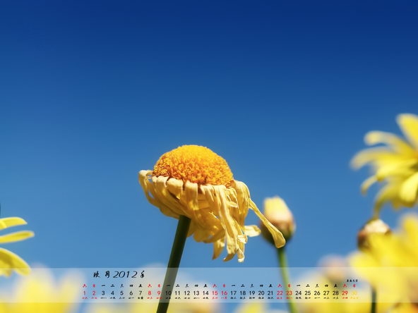 2012年9月月历宽屏壁纸