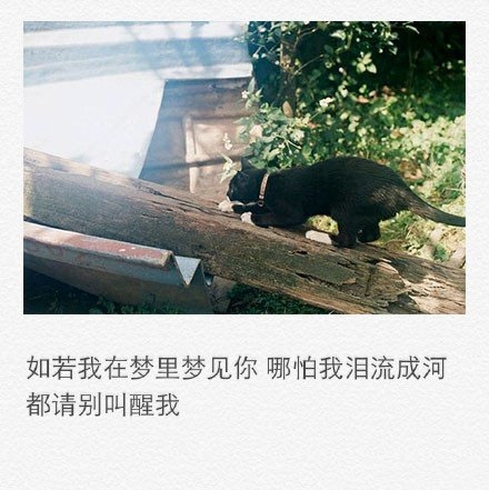 彼此相望，却又触及不到