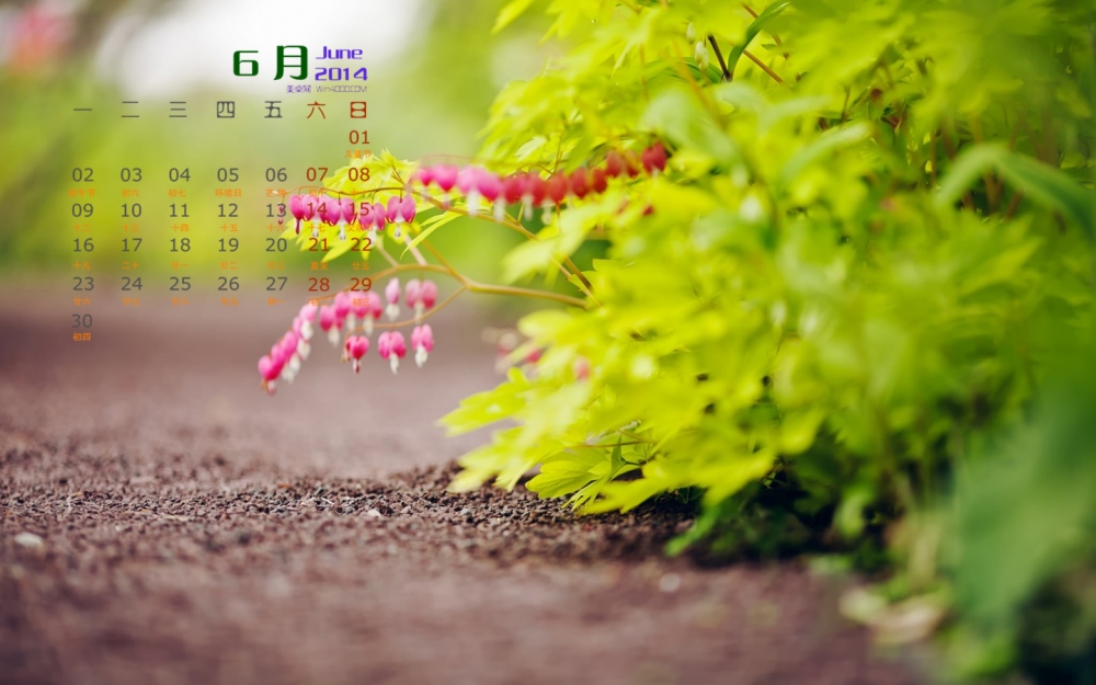 2014年6月日历壁纸护眼绿色唯美意境风景图片