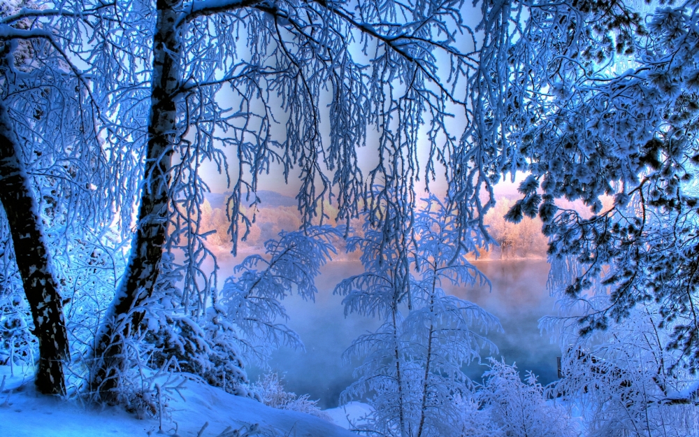 纯白雪景壁纸