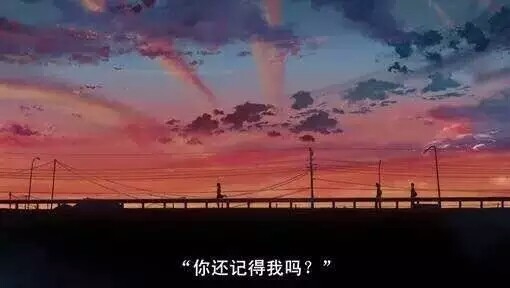 和好奇心一起活着