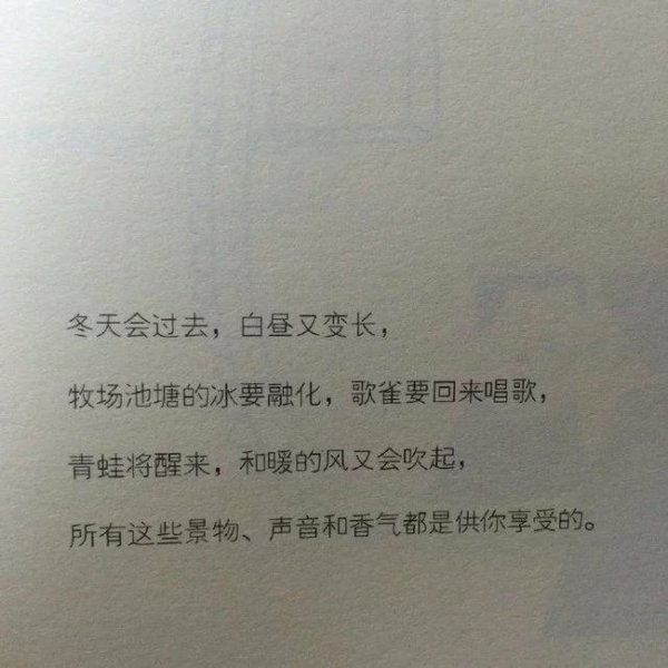 我什么都没有忘，但有些事只适合收藏。