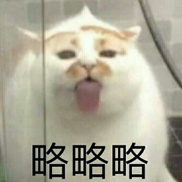 一条萌猫可爱表情包合集