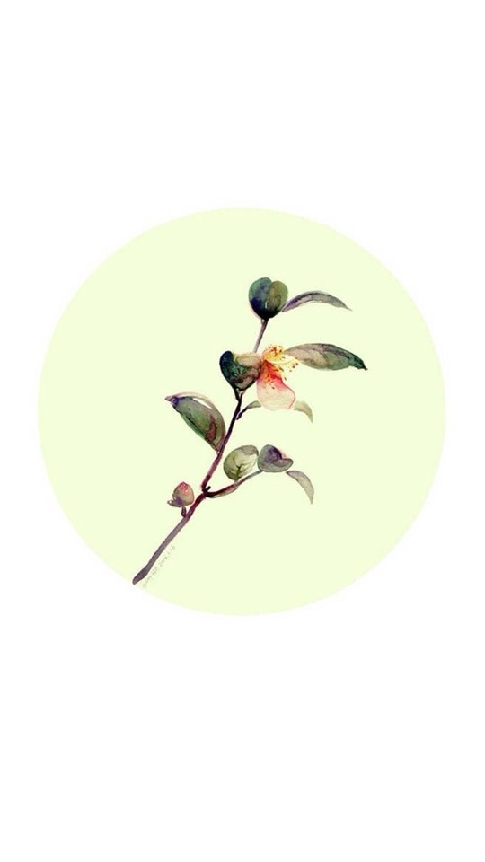唯美手绘花卉新清植物手机桌面壁纸下载