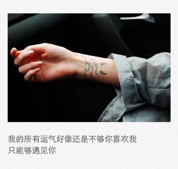 情之所往半生相偿