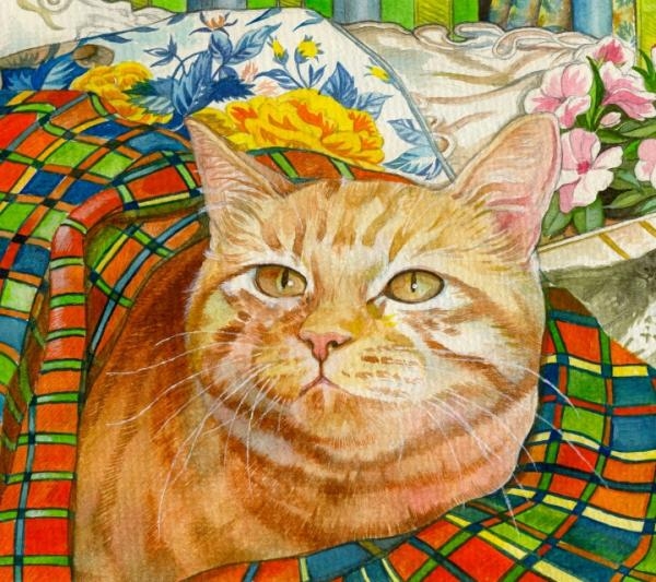豆子的猫镇