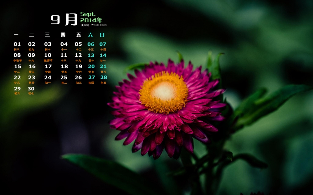 2014年9月日历清新唯美花卉图片宽屏电脑桌面主题壁纸图片