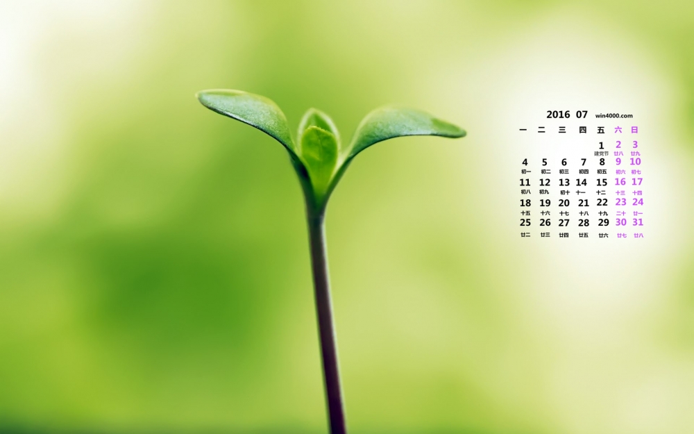 2016年7月日历简约唯美桌面壁纸