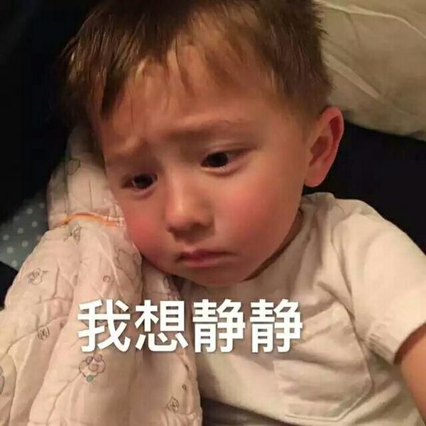 软饭宝宝