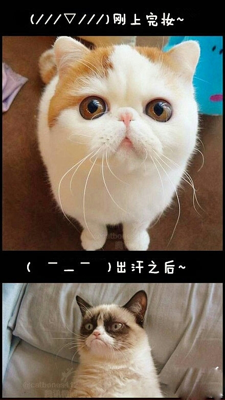 羡慕啊啊啊~~