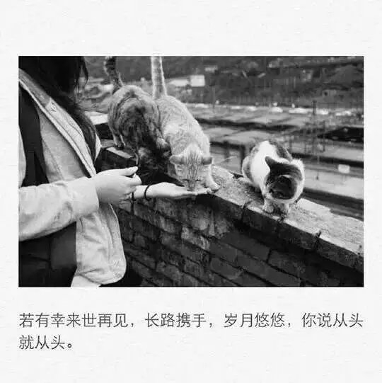 我去翻你的过往 并不是嫉妒 只是难过 有种深情你从未给过我。