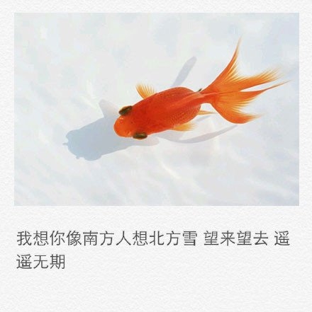 彼此相望，却又触及不到