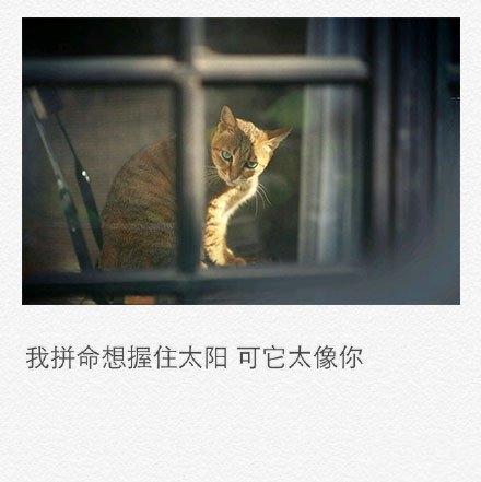 彼此相望，却又触及不到