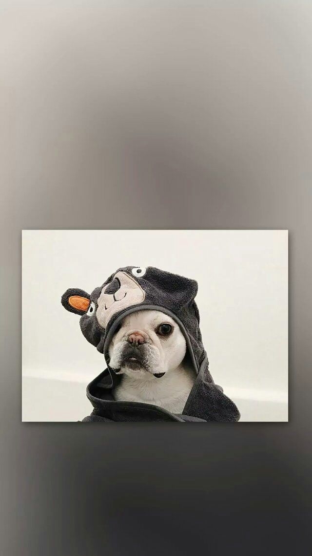 唯有被窝才是我爱的