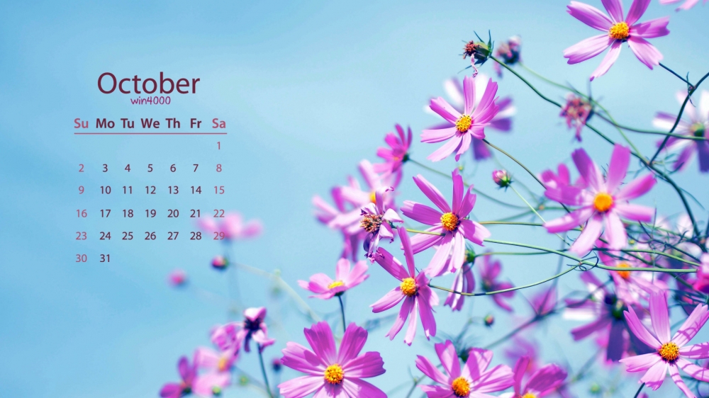 2016年10月日历粉色花朵植物电脑桌面壁纸