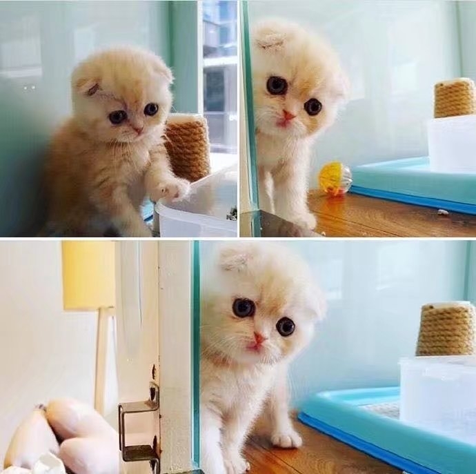 小心心都给你❤