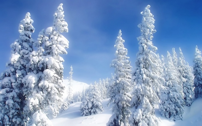 唯美雪景图片高清桌面下载