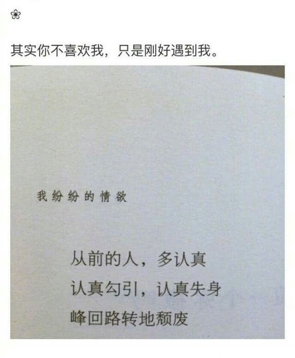 我已不想再对谁满怀期待.