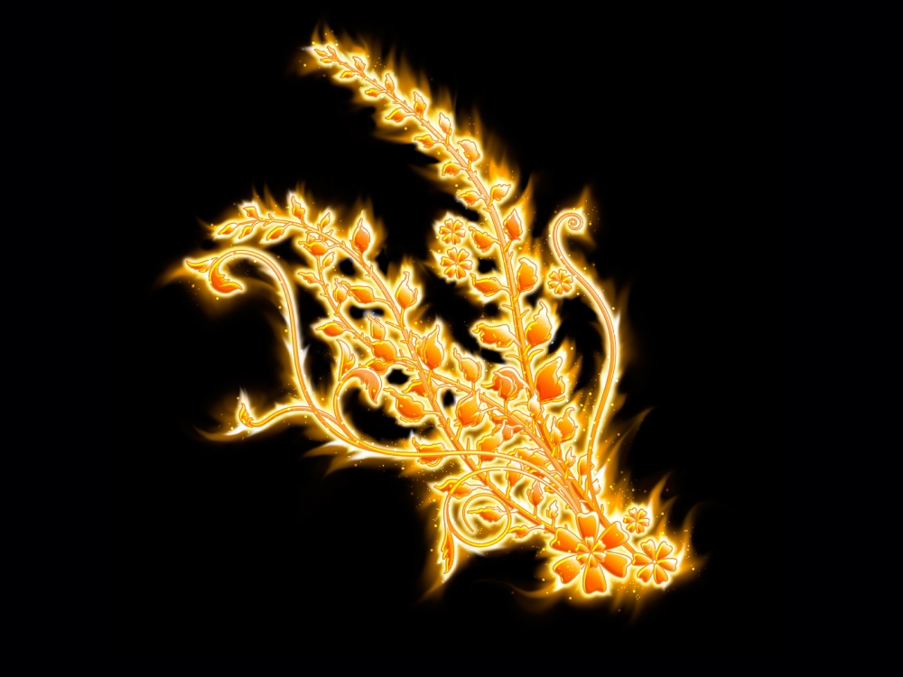 炫彩花纹 第三辑