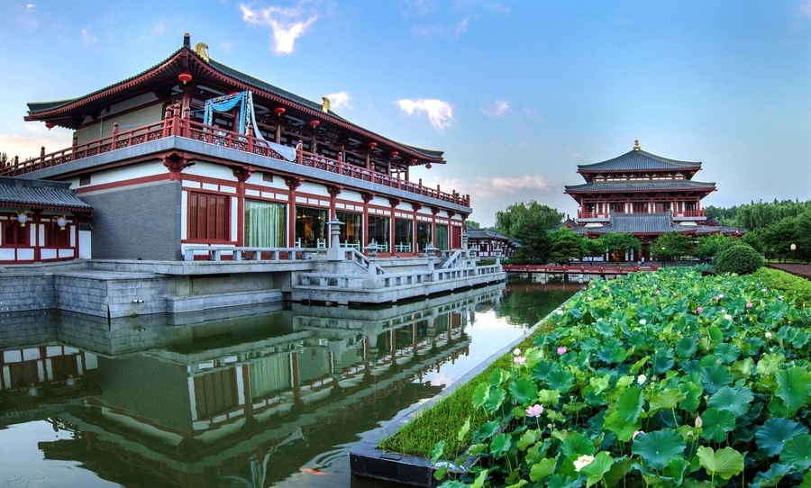 风和日丽的芙蓉园清晨图片
