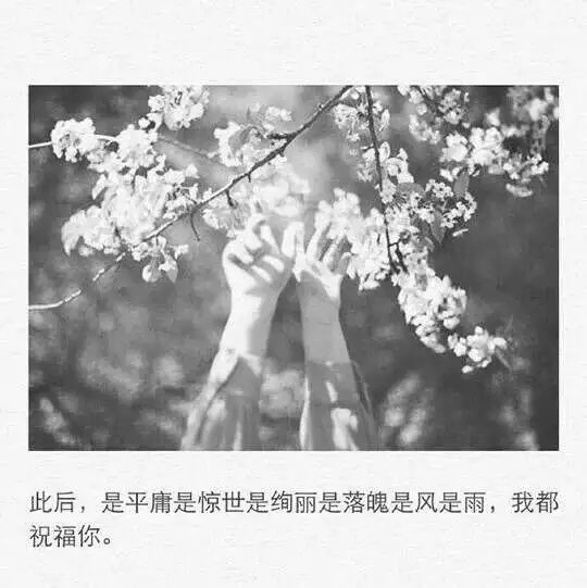 我去翻你的过往 并不是嫉妒 只是难过 有种深情你从未给过我。