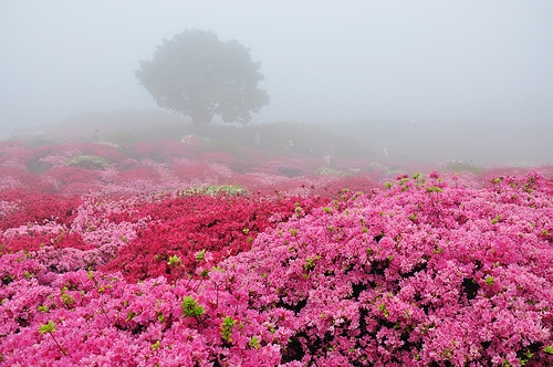 触景伤怀，心旌悸动