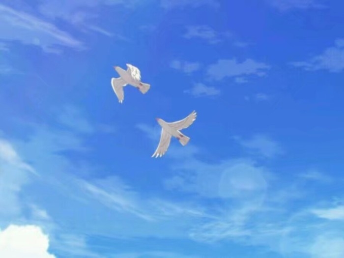 名片   背景图