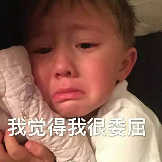 软饭宝宝