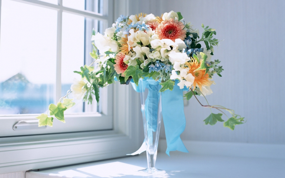 室内花 第九辑