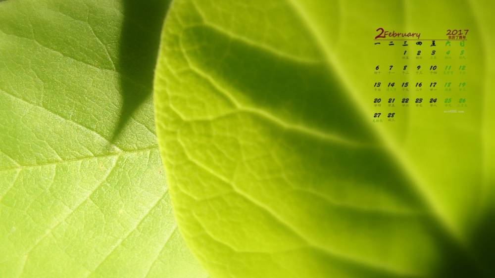 2017年2月绿色清新护眼植物日历壁纸  第一辑