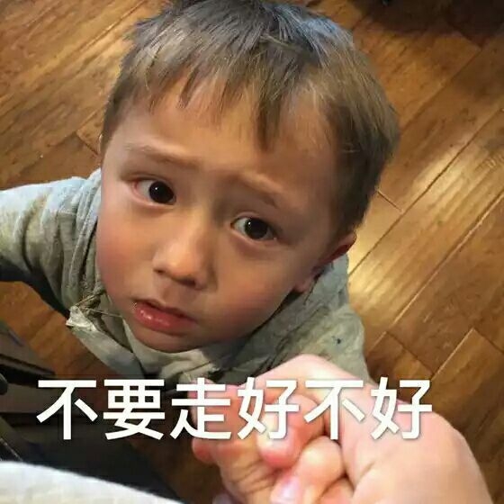 软饭宝宝