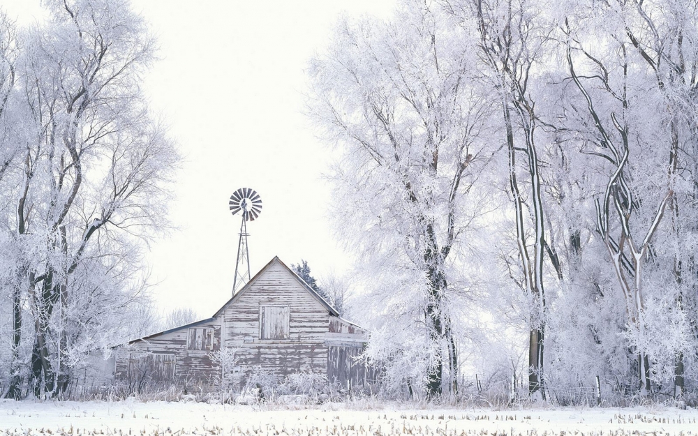 纯白雪景壁纸