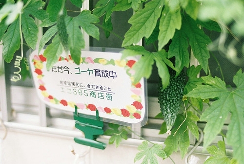 真正能治愈自己 唯美意境图片