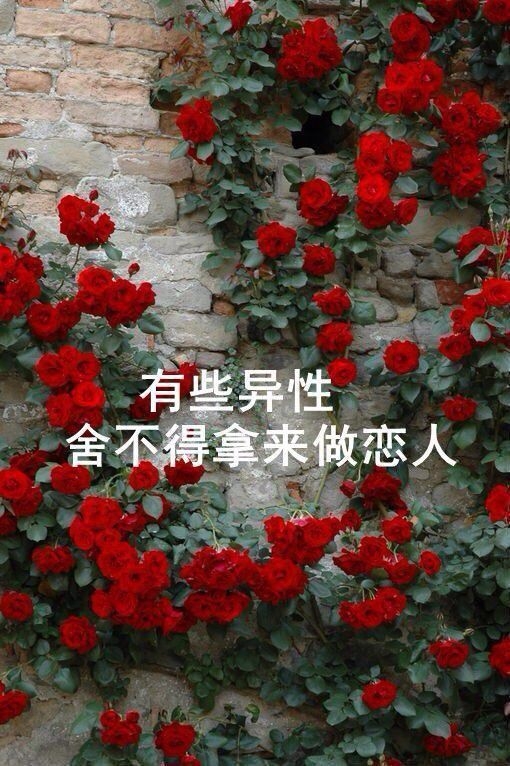 太主动，换来的只有不珍惜