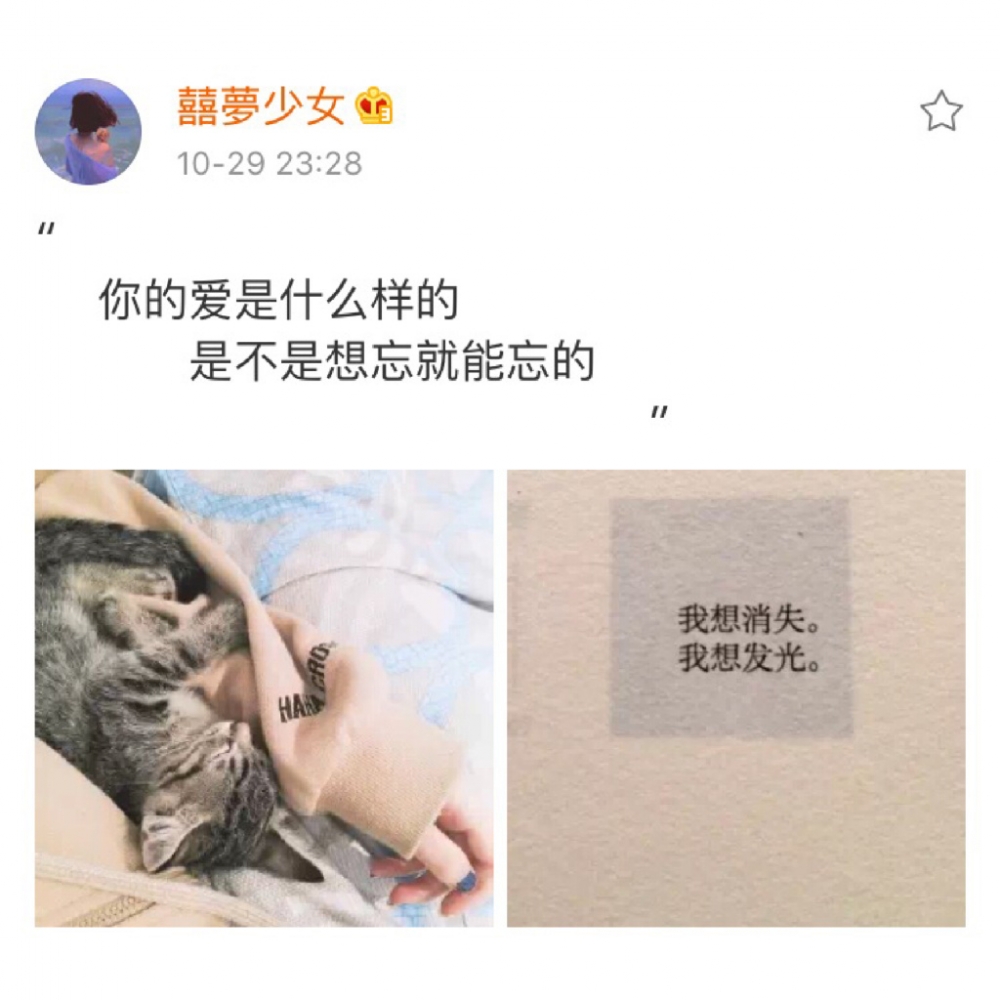 「 人一旦有了感情 就窝囊得不行 」