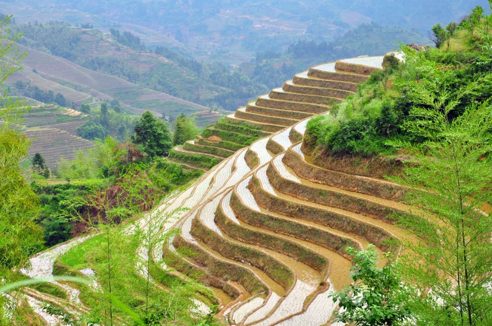 广西唯美龙脊梯田高清风景壁纸
