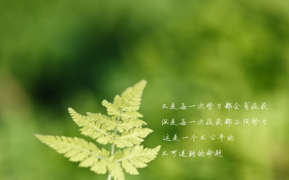 精选每日心语非主流唯美风景伤感文字语录高清桌面壁纸图片下载