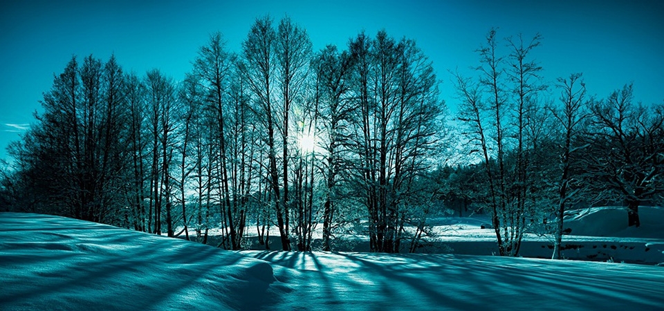 冬天的雪,树木,太阳,蓝色天空,雪地,风景桌面壁纸