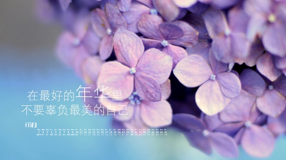 2016年10月日历粉色花朵植物电脑桌面壁纸