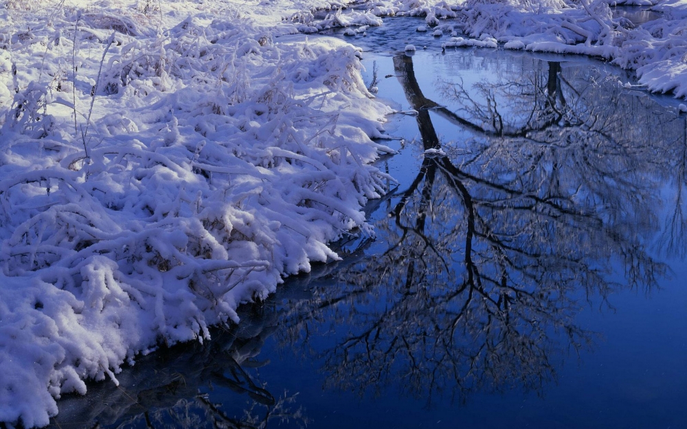 纯白雪景壁纸