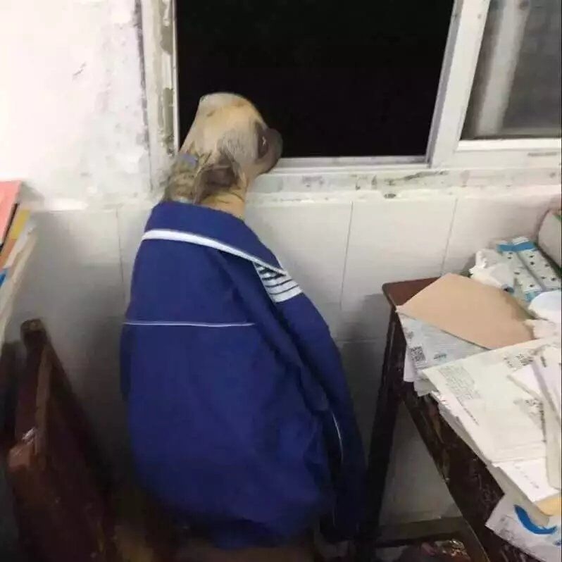 上了个厕所回来就这样了