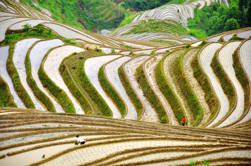 广西唯美龙脊梯田高清风景壁纸